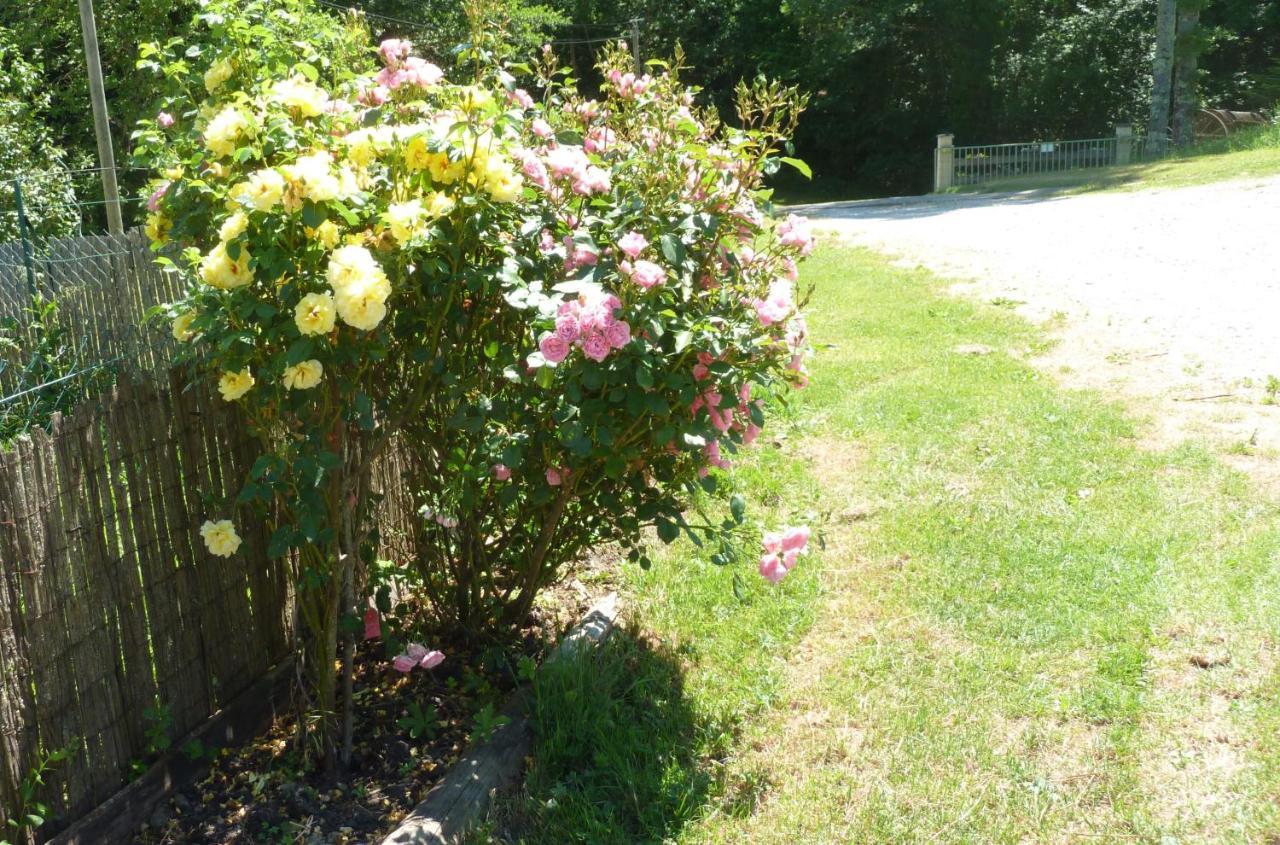 Gite La Lanterne Transition Ecologique Avec Borne De Recharge 7Kw Site Sous Video Protection Nalzen Exterior photo